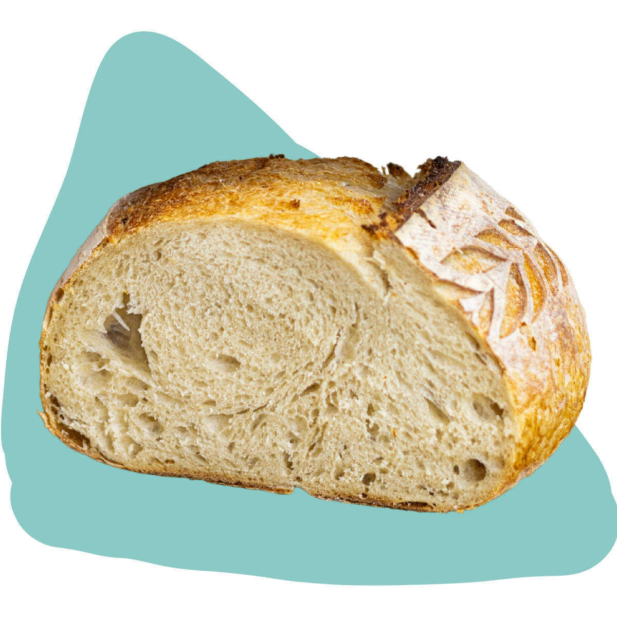 A single rustic loaf of bread, sliced open to show a soft, airy crumb, with a golden-brown crust and flour dusting, set against a teal abstract shape behind it.