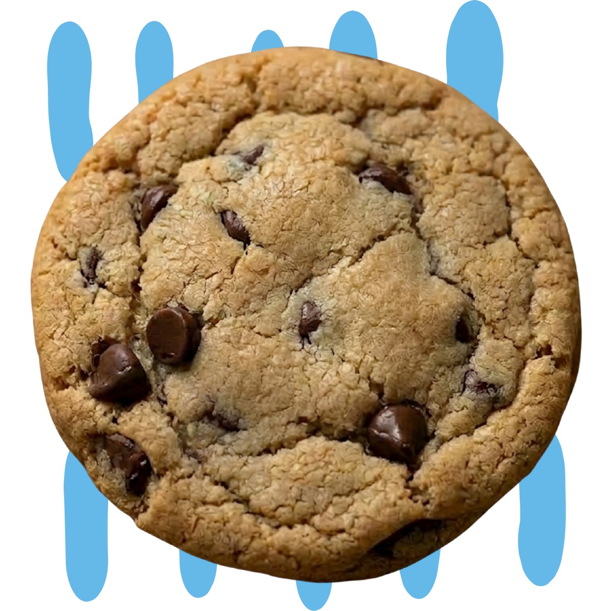 A single chocolate chip cookie centered on a white background with blue line graphic accents behind it.